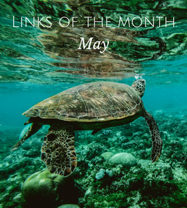 Echoview-links-of-the-month-May.png