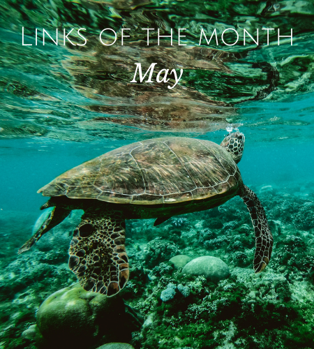Echoview-links-of-the-month-May.png