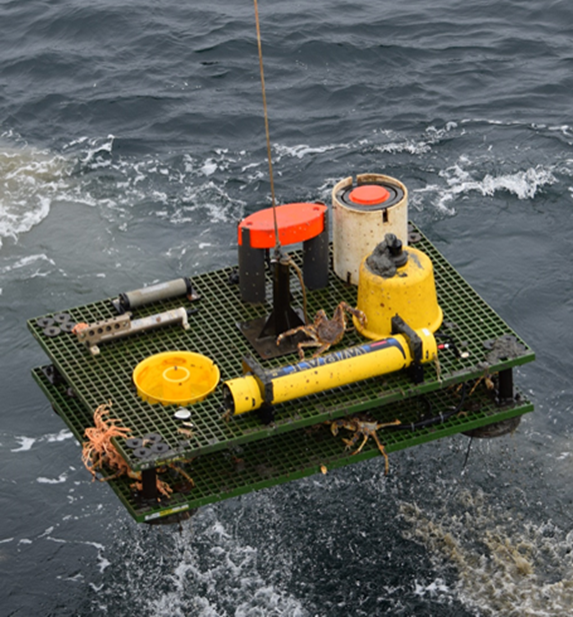 A photo of a mooring being recovered.png