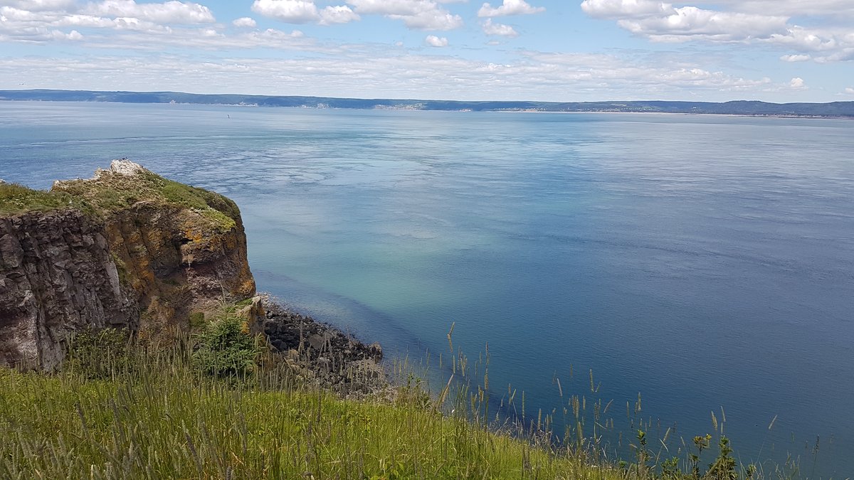 Bay of Fundy.jpeg