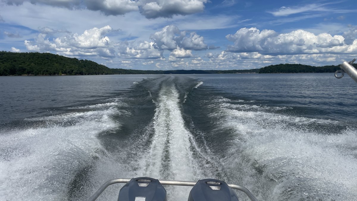 Beaver Lake survey