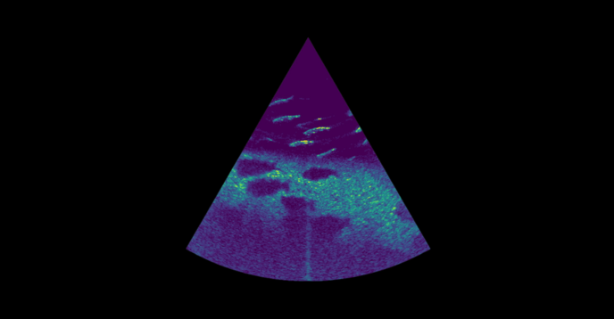 Blueprint-Subsea-Oculus-Echoview
