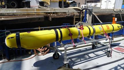 Case-study_AUV_DOR-E-a-deep-diving-AUV-.png