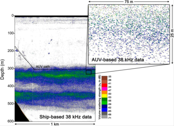 Case-study_AUV_echogram.png