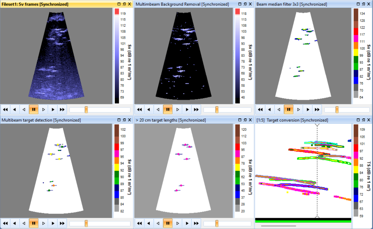 This Sound Metrics DIDSON example shows how Echoview can be used to extract, filter, and track fish observed with imaging sonar.