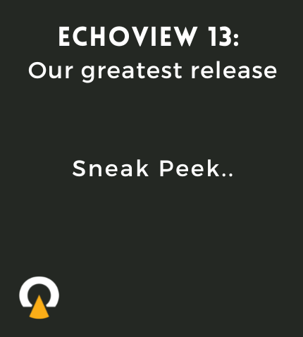 EV 13 sneak peek.png
