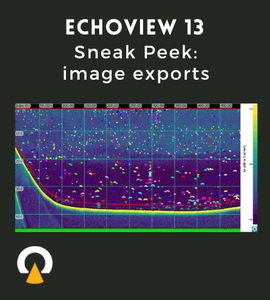 EV 13 sneak peek image exports.png