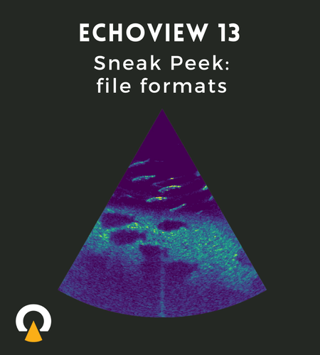 Echoview 13 sneak peak file formats.png