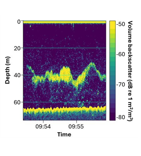 Echogram-Echoview-PhD-Blueeconomycrc-GriffithUniversity