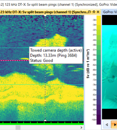 Echoview-12-ship-acoustics-trawl-camera.png