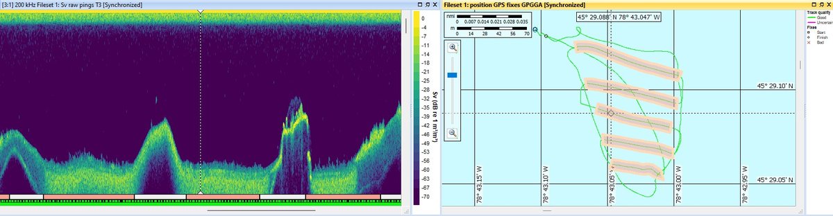 Echoview-14-Transects