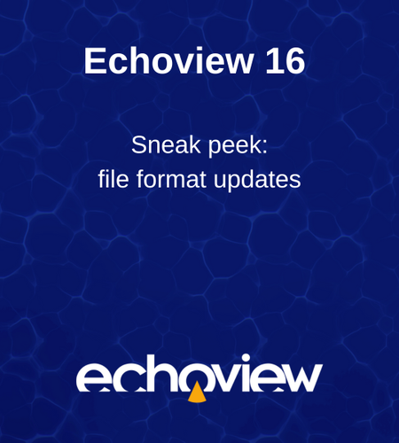 Echoview 16 File Formats