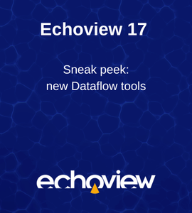 Echoview 17 Dataflow tools
