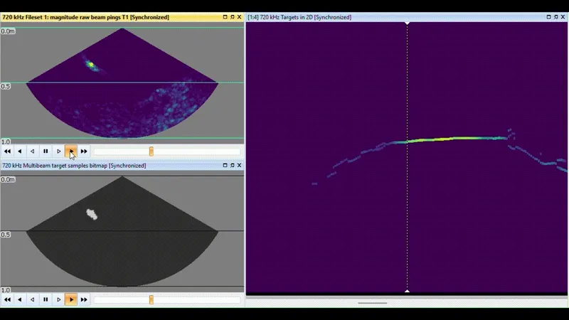 Echoview 17 Tritech Imaging Sonar