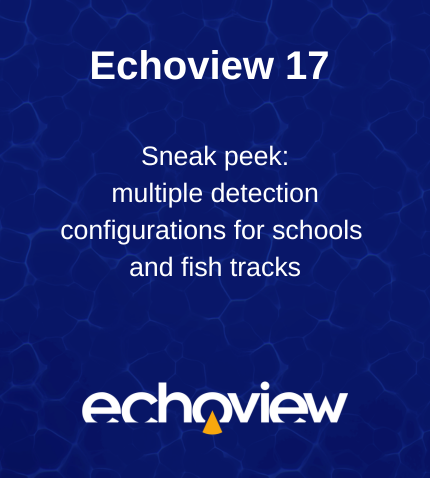 Echoview 17 Sneak peek: Multiple detections