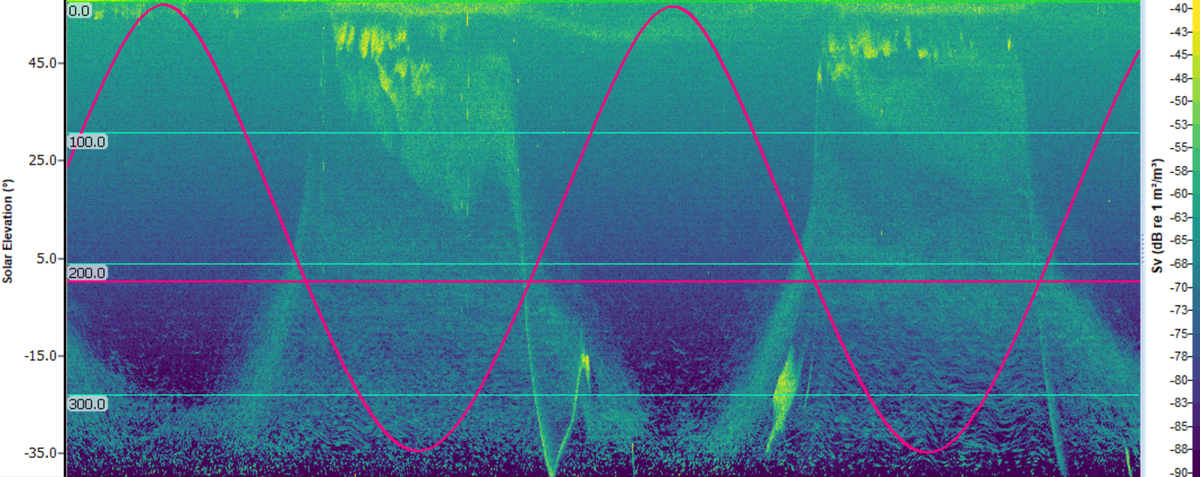 Time series can now be displayed directly on echograms, making it easier to compare acoustic observations with supporting measurements. In this example, Solar Elevation data has been overlaid on Nortek Signature 100 data to provide context for observed di
