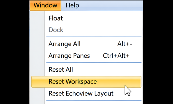 Echoview 17: Docking and window layout