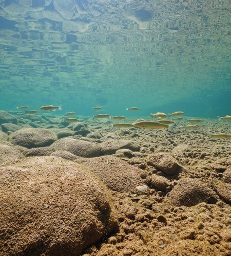Seafloor Hydroacoustics Data Echosounding