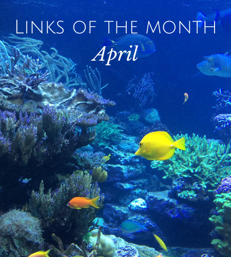 Echoview-links-of-the-month-April.png