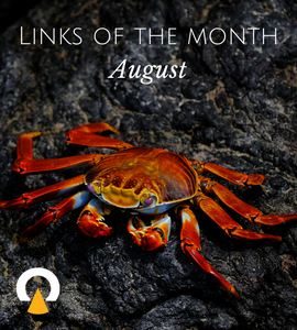 Echoview-links-of-the-month-August.png