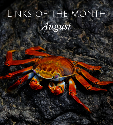 Echoview-links-of-the-month-August.png
