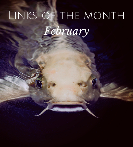 Echoview-links-of-the-month-February.png