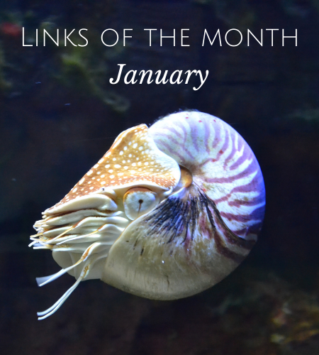 Echoview-links-of-the-month-January.png