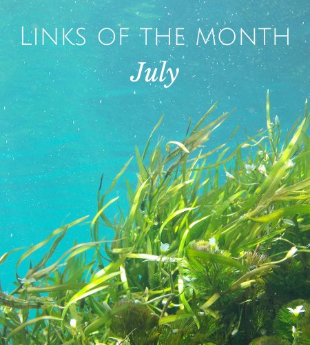 Echoview-links-of-the-month-July.png