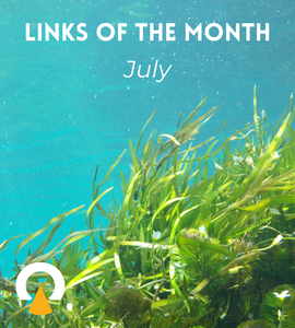 Echoview-links-of-the-month-July 2023