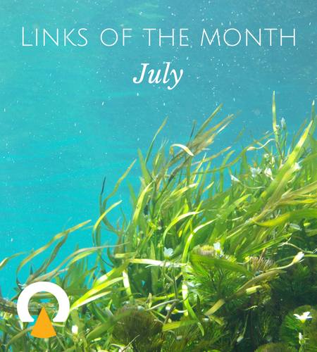 Echoview-links-of-the-month-July.png