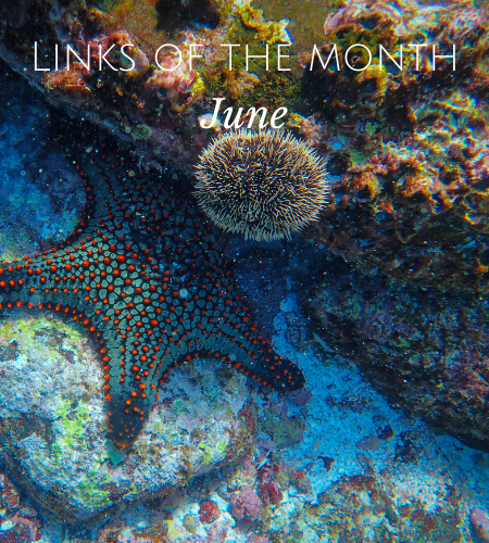 Echoview-links-of-the-month-June.png