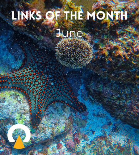 Echoview-links-of-the-month-June.png