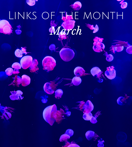 Echoview-links-of-the-month-March.png