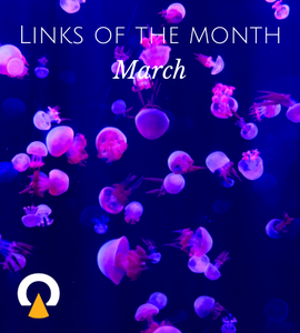 Echoview-links-of-the-month-March.png