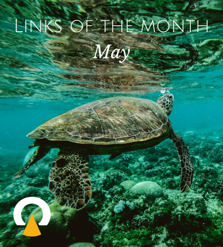 Echoview-links-of-the-month-May.png