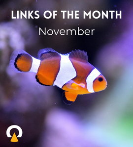 Echoview-links-of-the-month-November.png