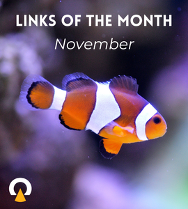 Echoview-links-of-the-month-November-2023
