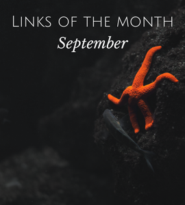 Echoview-links-of-the-month-September.png