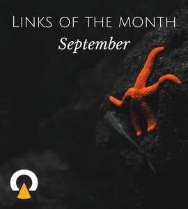 Echoview-links-of-the-month-September.png