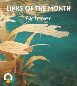 Echoview Links of the month October 2025