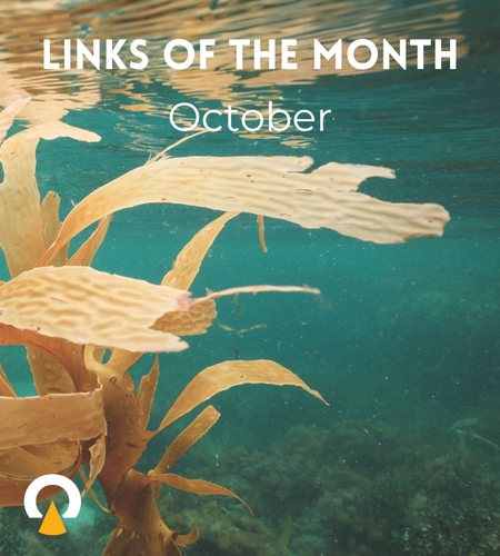 Echoview-links-of-the-month-hydroacoustics-October-2024