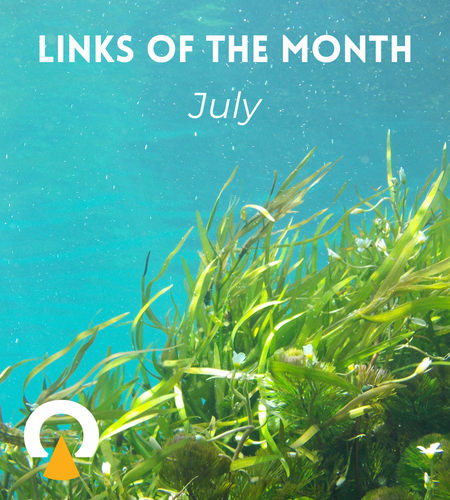 Echoview-links-of-the-month-hydroacoustics-July-echosounders-2024