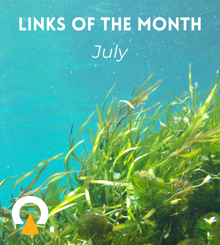 Echoview-links-of-the-month-hydroacoustics-July-activeacoustics-2026