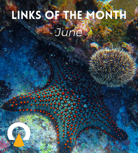 Echoview Links of the Month June 2026