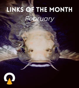 Echoview-linksofthe-month-February-2026