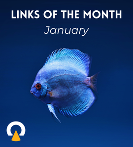 Echoview-linksofthemonth-January2026