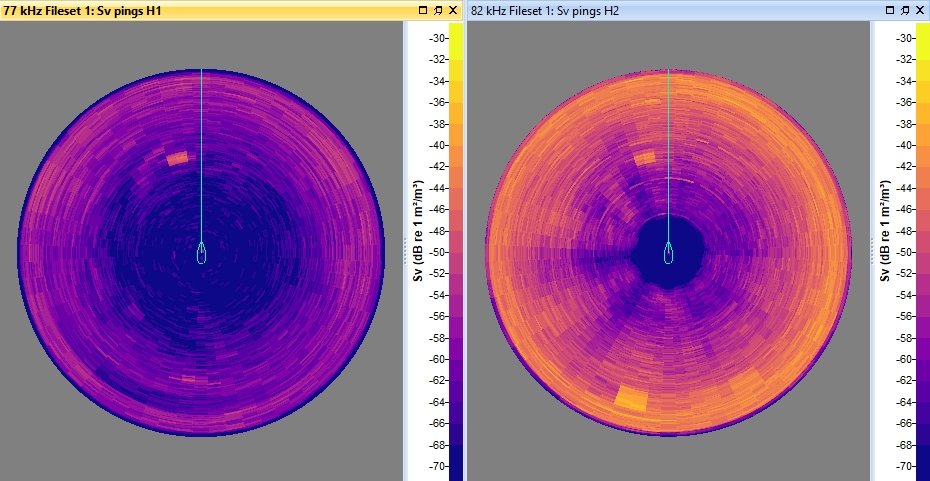 Echoview 13 Simrad omnisonar netCDF.jpg