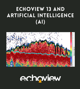 Echoview 13 and AI.png