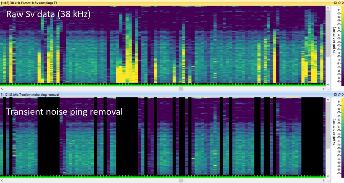 Echoview 13 transient noise ping removal.jpg