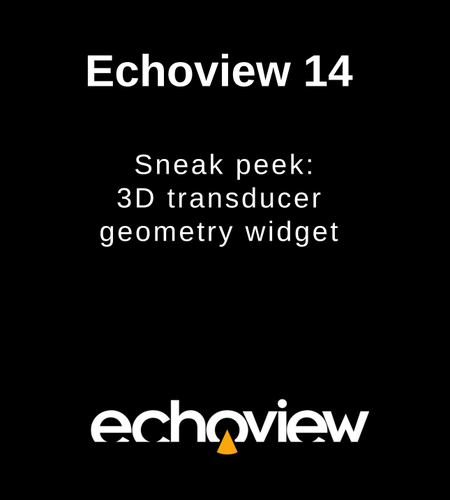 Echoview 14 3D transducer geometry widget